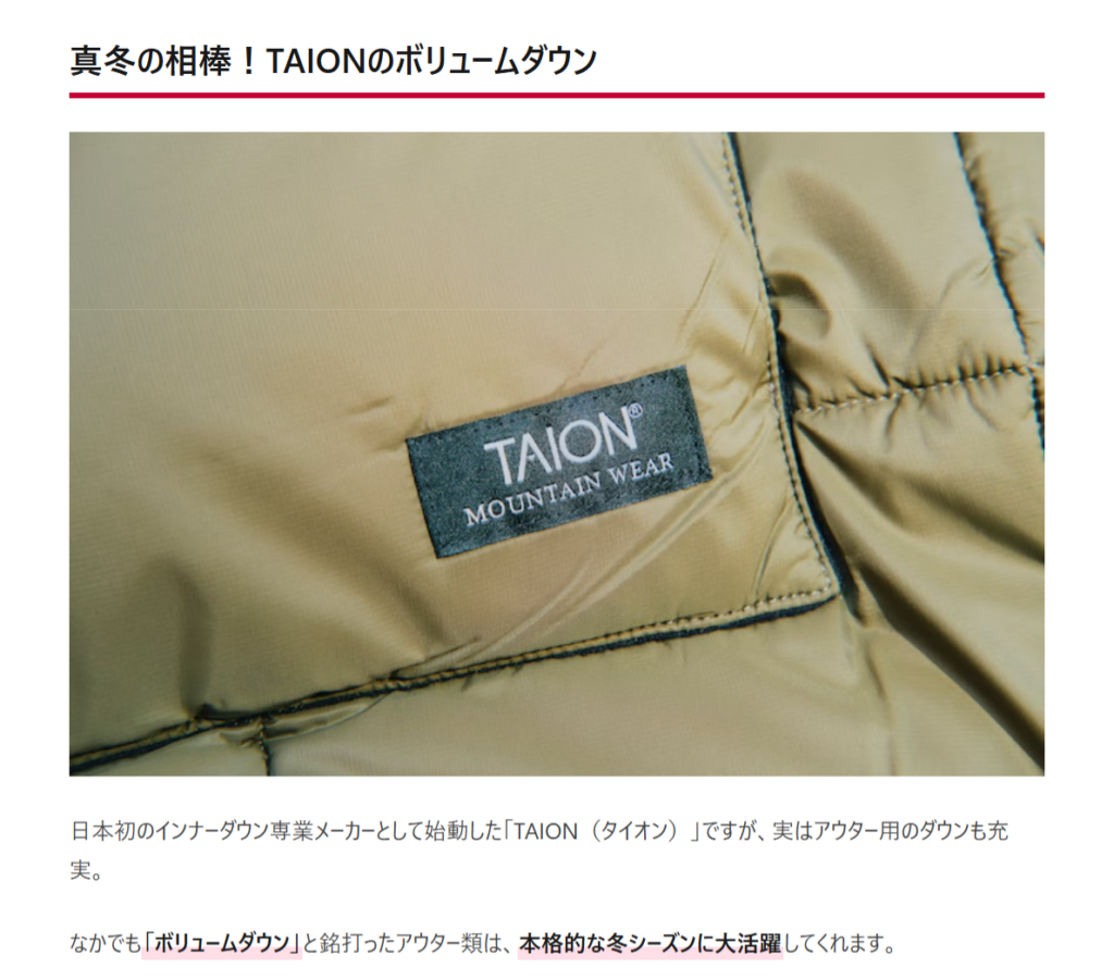 TAION【マウンテン パッカブル ボリュームダウンジャケット】