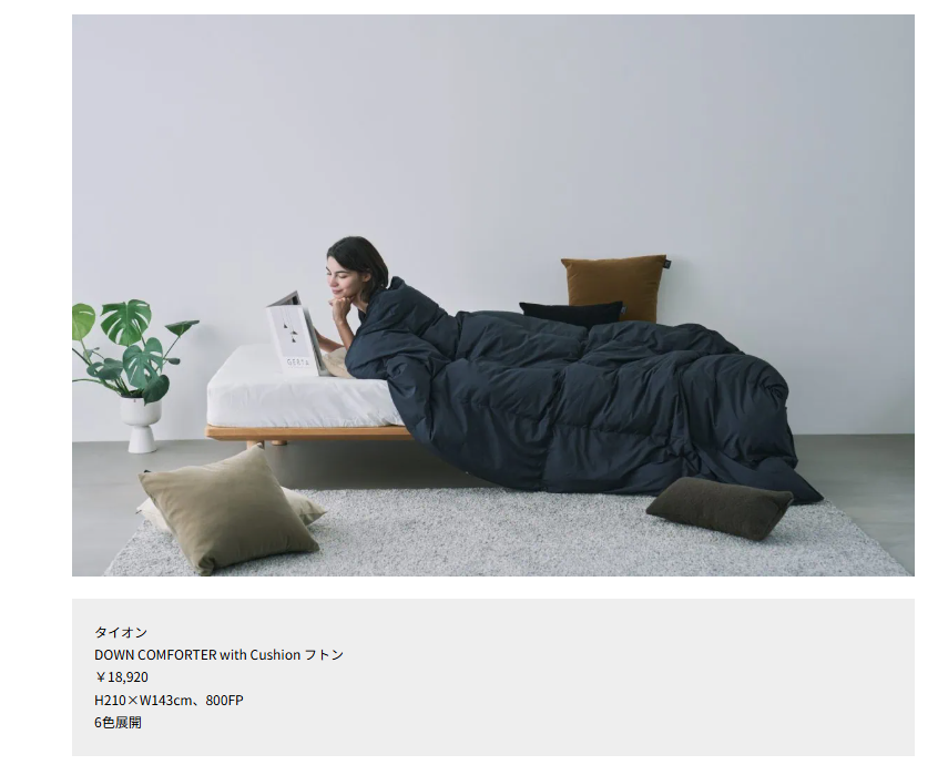 TAION【DOWN COMFORTER with Cushion フトン】