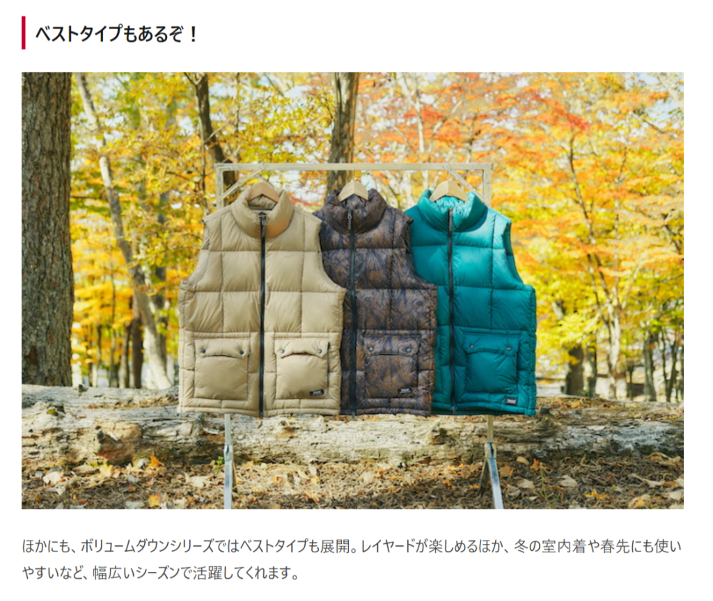 TAION【マウンテン パッカブル ボリュームダウンベスト】
