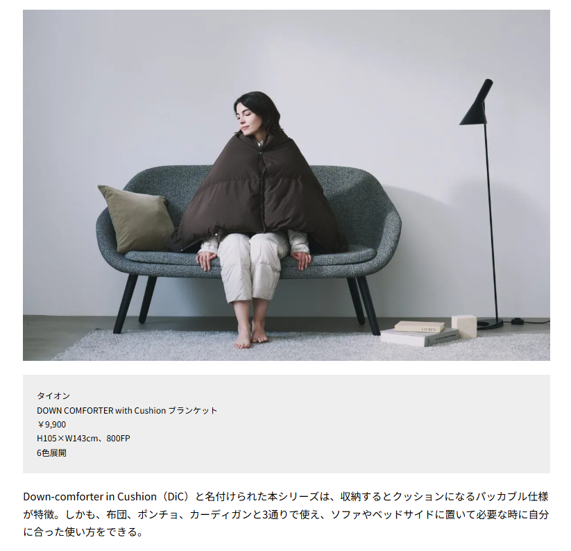 TAION【DOWN COMFORTER with Cushion ブランケット】