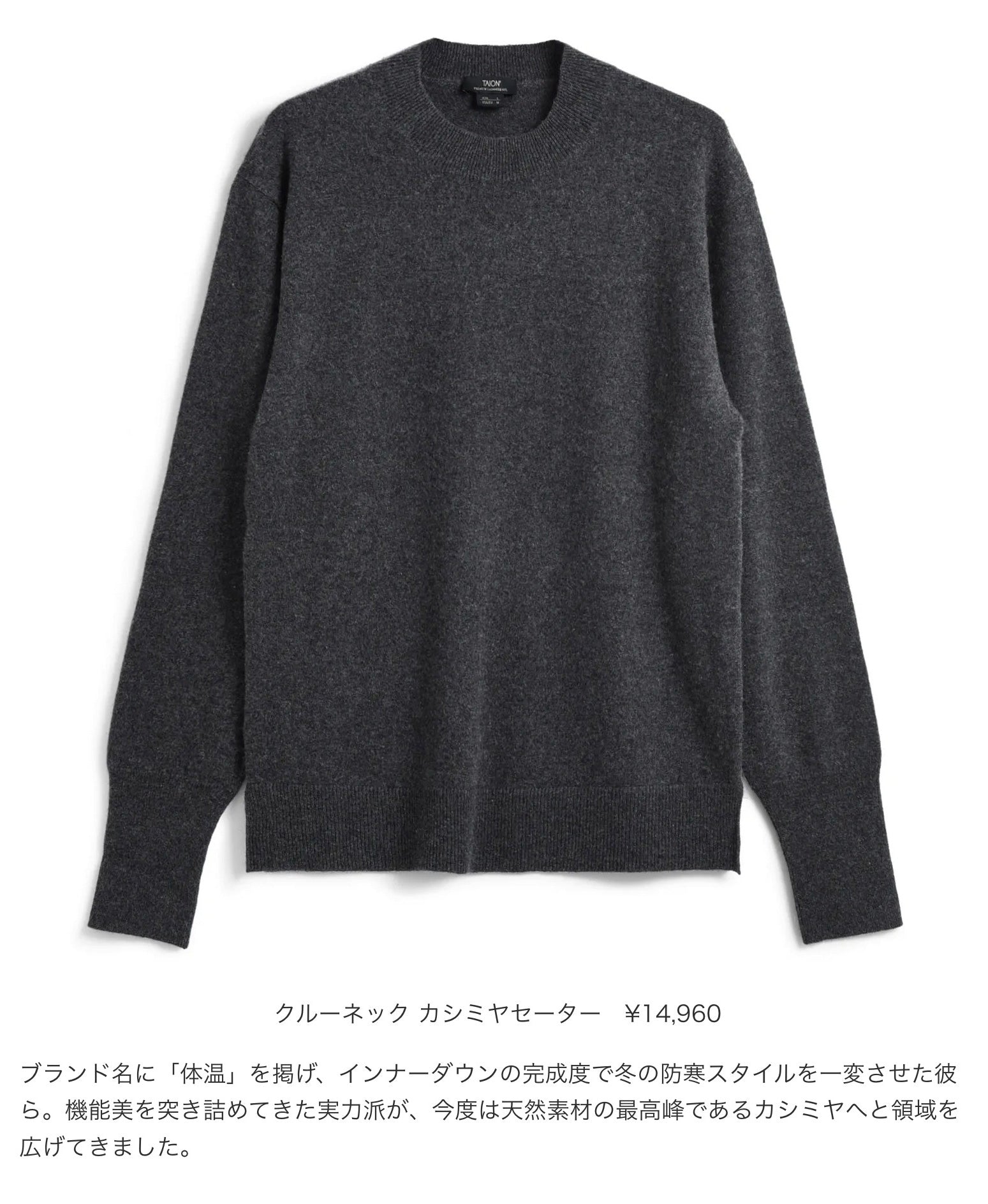 TAION【タイオン クルーネック カシミヤセーター】