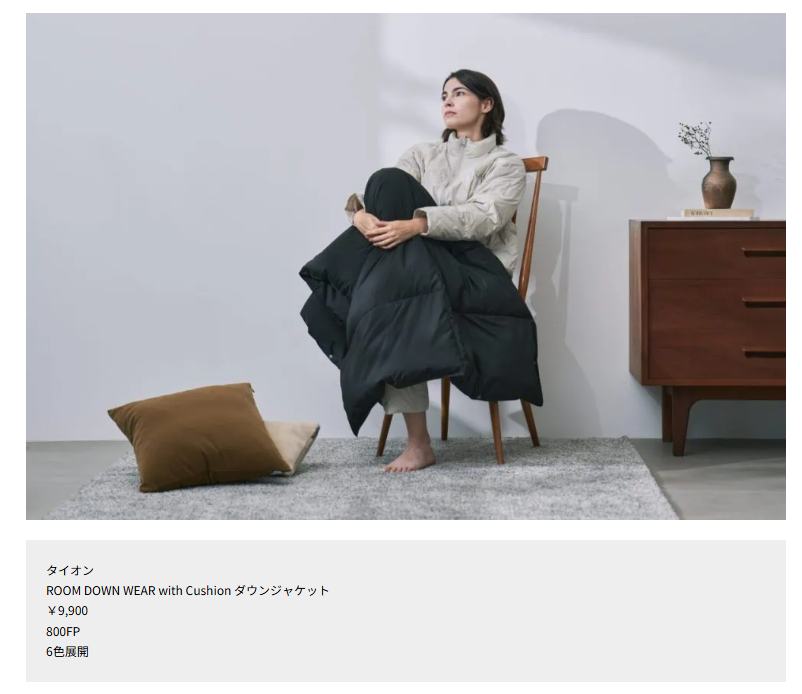 TAION【ROOM DOWN WEAR with Cushion ダウンジャケット】