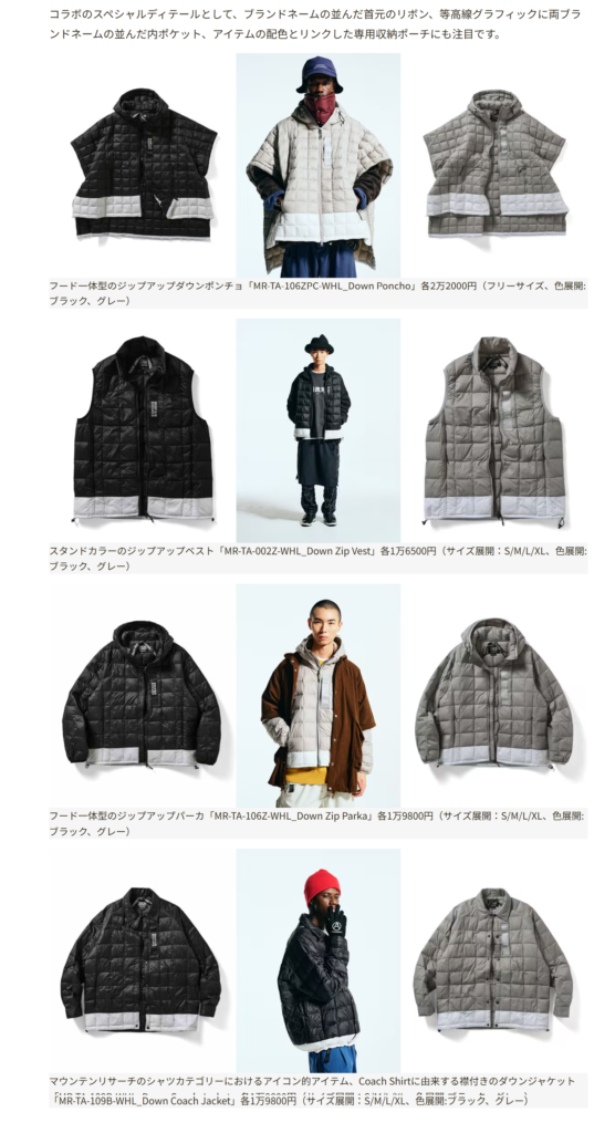 TAION【TAION×MOUNTAIN RESEARCH】