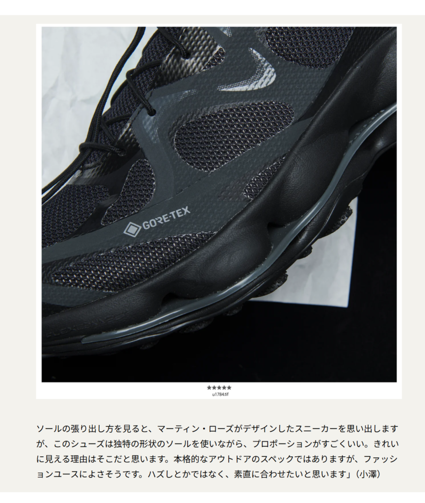 MERRELL【SPEED ARC MATIS GORE-TEX】