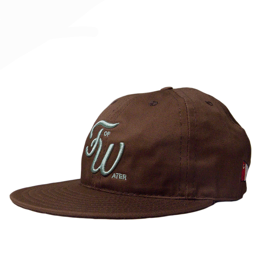 TW Ball Cap_Brown_2