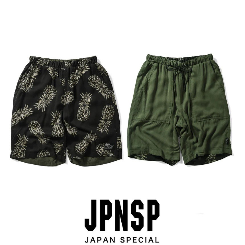 TAION-NDPT13JS-HS_2_860x